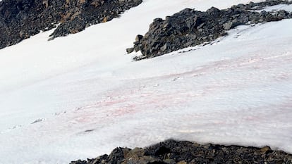 Nieve rosa en las faldas del Monte Reina Sofía, en la Antártida.