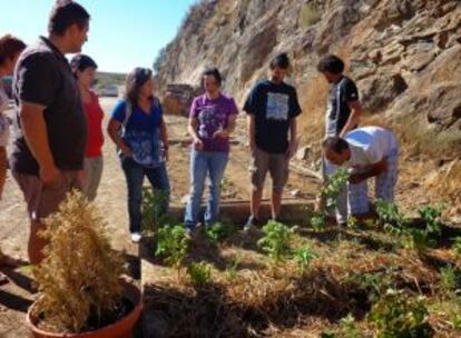 Curso de agroecología impartido por Red Terrae.