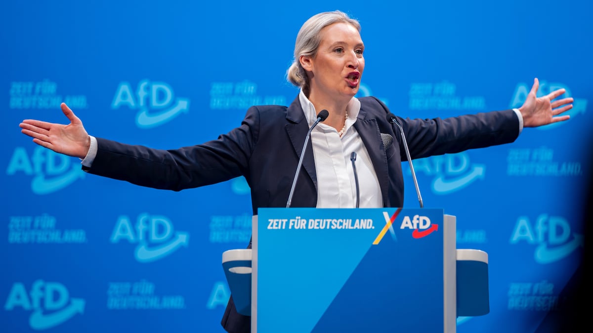 Protestas en Alemania contra la ultraderecha