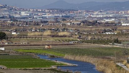 Los terrenos agrícolas al entorno del Llobregat destinados para edificar Eurovegas.