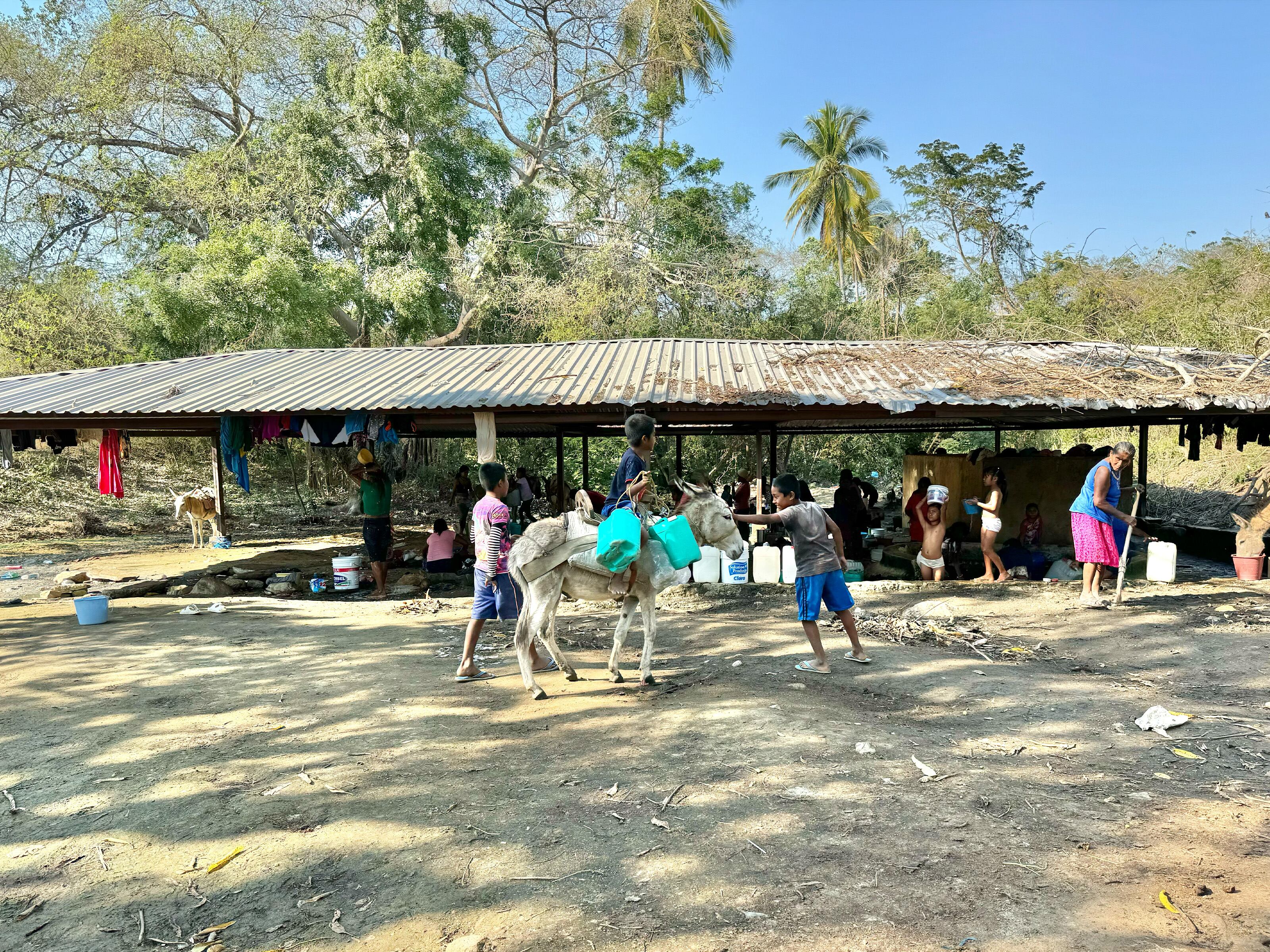 Niños cargan a un burro con bidones llenos de agua, en Apalani (Guerrero).