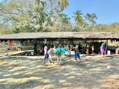 Niños cargan a un burro con bidones llenos de agua, en Apalani (Guerrero).