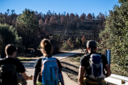 Los bomberos que se relevan en la protesta de 150 kilómetros pertenecen a la Asociación de Trabajadores de Incendios Forestales, ATIFCYL. 