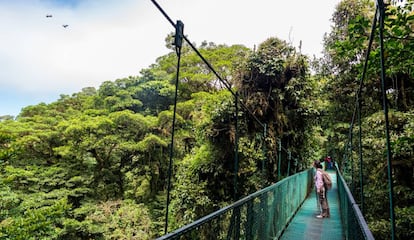 Puente colgante en la reserva del Bosque Nuboso de Monteverde, en Costa Rica.