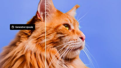 Mejora en el uso de Photoshop de Adobe