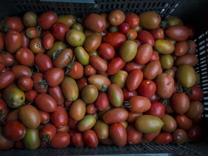 España es el séptimo país del mundo que más desperdicia alimentos, según la FAO.