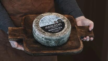 El mejor queso del mundo. Quizás el amor es la segunda razón más poderosa para tomar un avión y plantarse en la otra punta del mundo. La primera es el queso. Este año, World Cheese Awards ha coronado como mejor queso del mundo el Nidelven Bla, un queso azul elaborado con leche de vaca pasteurizada y una textura semisólida, de entre más de 4.800 participantes. Puedes probarlo en la quesería Gangstad Gardsysteri, en la localidad de Trondheim, en Noruega.