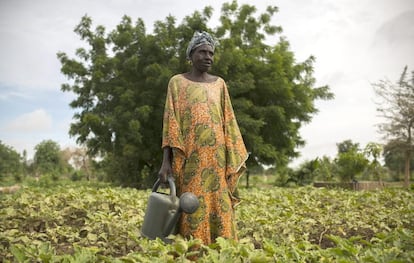 Mariam Cisse, 51 años, presidenta de la asociación Kawral en Dabaly. El proyecto 'Un millón de cisternas para el Sahel' de la FAO tiene como objetivo promover y facilitar la introducción de sistemas de recolección y almacenamiento de agua de lluvia para las comunidades vulnerables, especialmente las mujeres.