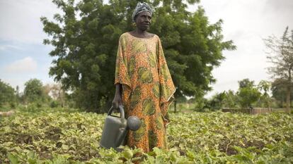 Mariam Cisse, 51 años, presidenta de la asociación Kawral en Dabaly. El proyecto 'Un millón de cisternas para el Sahel' de la FAO tiene como objetivo promover y facilitar la introducción de sistemas de recolección y almacenamiento de agua de lluvia para las comunidades vulnerables, especialmente las mujeres.