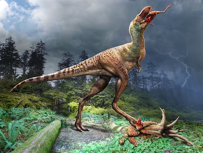 Artistic representation of a gorgosaurus devouring prey.