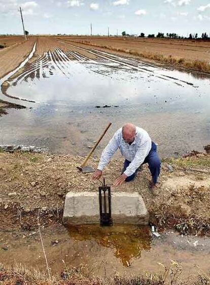 Los agricultores iniciaron ayer el riego en el delta del Ebro.