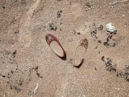 Los emigrantes suelen emprender la peligrosa travesía del desierto a pie. Suelen llevar sandalias o calzados que no son adecuados para recorrer largas distancias y a menudo se rompen por el camino, por lo que tienen que continuar descalzos.