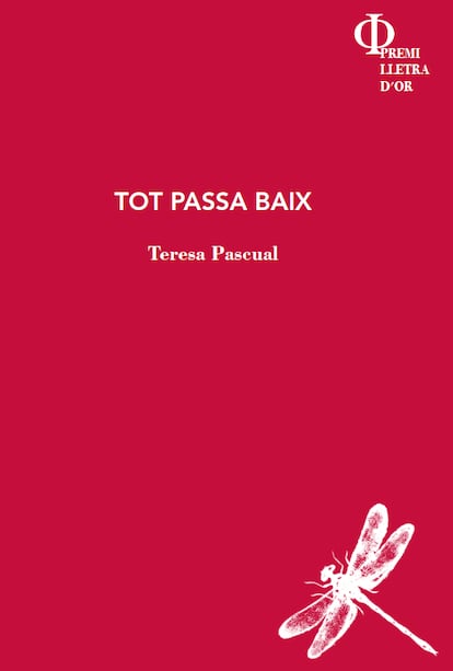 Portada de 'Tot passa baix' de Teresa Pascual