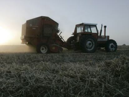 Un agricultor trabaja en una granja cerca de Gualeguaychu, Argentina, en la frontera con Uruguay.