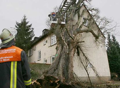 Los bomberos trabajan en la retirada de un árbol derribado por el huracán en Frankfurt.