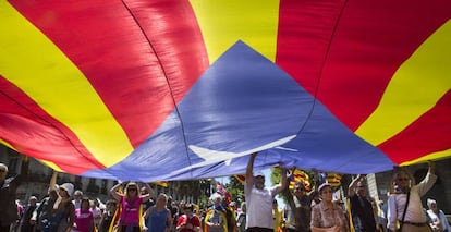 Una bandera estelada durante la manifestaci&oacute;n contra el Plan Hidrol&oacute;gico de la Cuenca del Ebro, que discurri&oacute; por las calles de Barcelona en mayo.