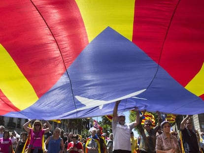 Una bandera estelada durante la manifestaci&oacute;n contra el Plan Hidrol&oacute;gico de la Cuenca del Ebro, que discurri&oacute; por las calles de Barcelona en mayo.