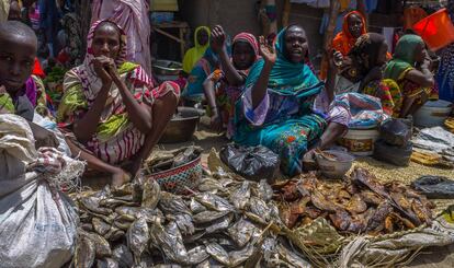 Mujeres en el mercado de Baga Sola (Chad).