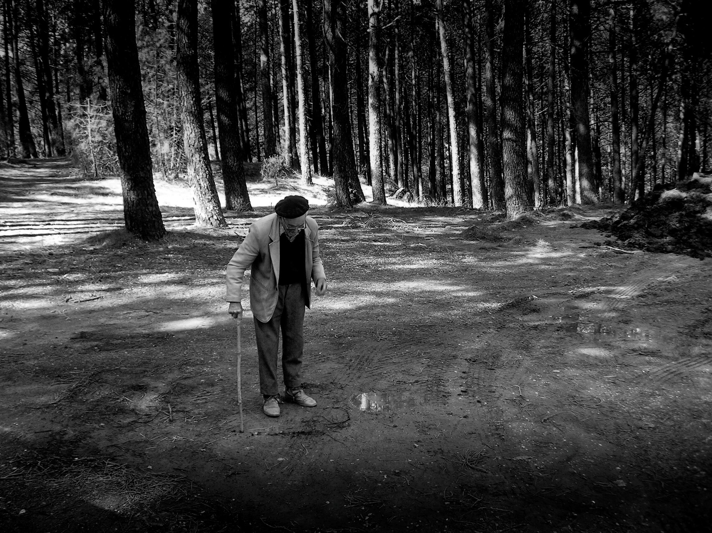 Francisco Fernández señalaba, en 2010, la fosa donde fue enterrado su padre, asesinado en 1936, en el paraje conocido como Cruz del Cerro.