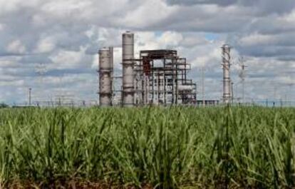 Fotografía de una planta procesadora de etanol. EFE/Archivo