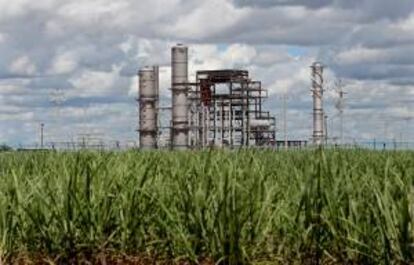 Fotografía de una planta procesadora de etanol. EFE/Archivo