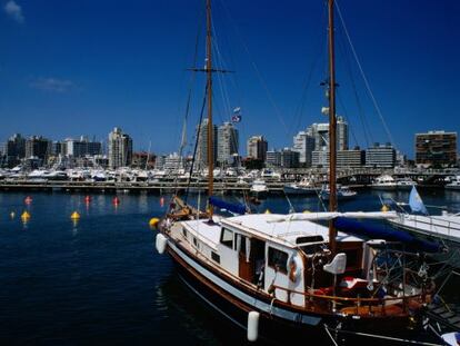 Porto e vista panorâmica de Punta del Este (Uruguai).