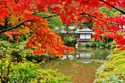 Un jardín japonés en la ciudad de Nikko.