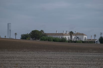 Finca Carrascalejo, a las afueras de Sevilla, con la torre de un parque fotovoltaico al fondo.