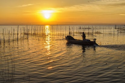 Es probablemente el espacio natural más emblemático de Valencia, y también el más conocido. Pero la Albufera nunca deja de sorprender. Poco importa si se recorre a pie, en bici o en barca: este parque natural, que abarca 21.120 hectáreas de territorio que se extienden por 13 municipios, es uno de los humedales más importantes de España y sus paisajes hipnóticos emergen con fuerza a 10 kilómetros al sur de la ciudad de Valencia. Sus playas, dunas, bosques y cenagosos arrozales son un fiel reflejo de la riqueza natural de la zona, así como de su rica cultura gastronómica. Además de su variada flora y fauna, es posible disfrutar de sus tradicionales barracas (casas de campo) y de platos tan típicos como la paella, el 'all i pebre' (un guiso con ajo, pimentón, patata y el producto estrella, la anguila) o la espardenyà (otro guiso, más desconocido que el anterior, compuesto por anguila, pollo, conejo, patata, pimentón, ajo, guindilla, aceite y huevos escalfados).