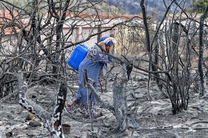 Una mujer camina entre las cenizas de un bosque calcinado en Melloula, en el noroeste de Túnez, este miércoles. 