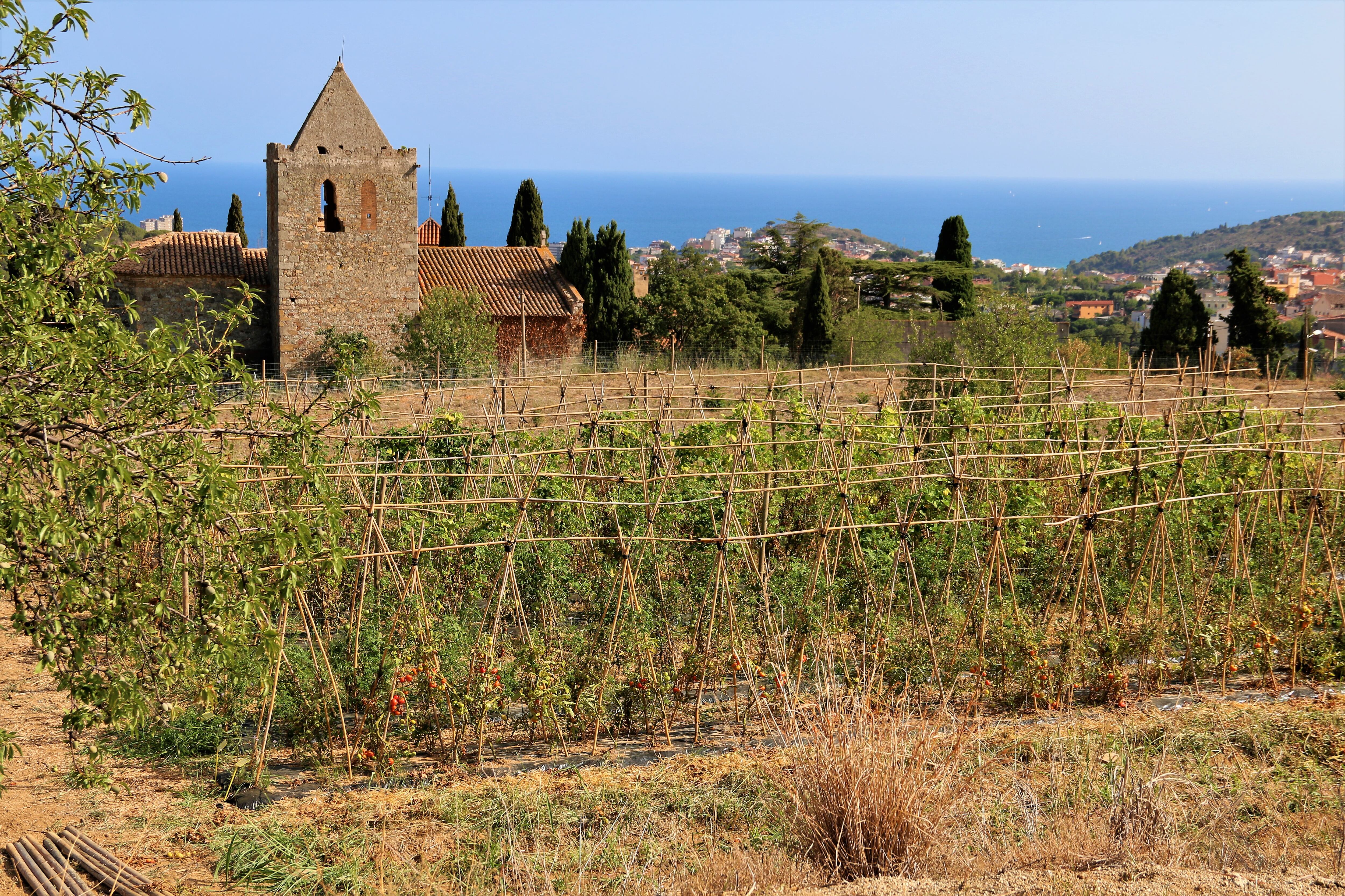 Huertos de la Alegría y vista desde Tiana, en el Maresme.