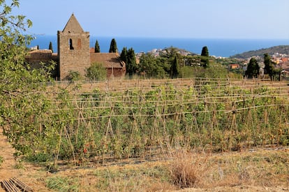 Huertos de la Alegría y vista desde Tiana, en el Maresme.