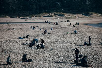 Un grupo de voluntarios, organizado a través de WhatsApp, el sábado en la playa de Area Maior, en Muros (A Coruña). 