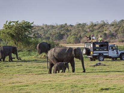 Turismo Sri Lanka