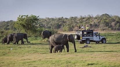 Turismo Sri Lanka