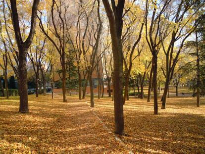 El paseo de John Lennon en Madrid.