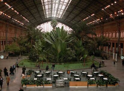 Jardín tropical de la estación de trenes de Atocha, Madrid