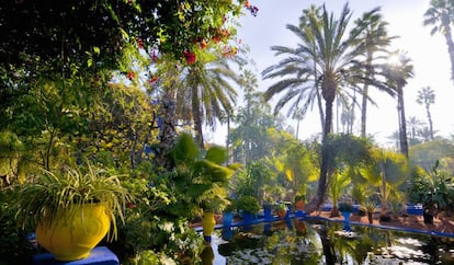 Jardín Majorelle, en Marraquech.