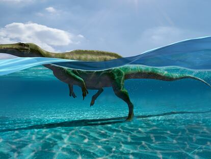 A reconstruction of what the spinosaurid looked like.
