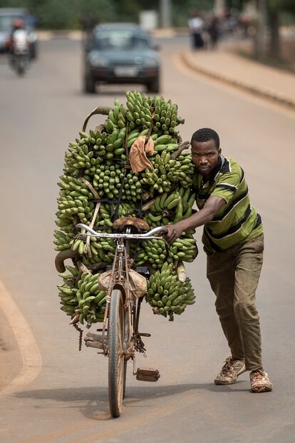 Un joven carga con cientos de platanos en su bicilceta en los exteriores del mercado de Mulindi, Ruanda, el 3 de junio.