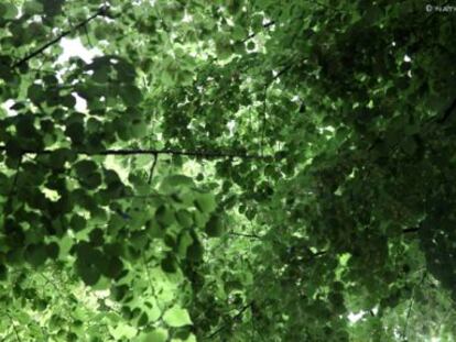 Contra la naturaleza, contra toda lógica