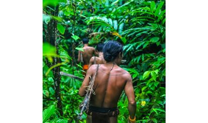 Nas florestas da ilha de Siberut, Indonésia, os mentawais caçam macacos com zarabatanas e flechas envenenadas.