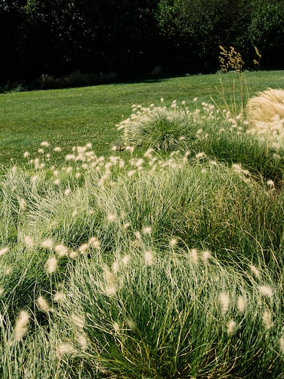 Detalle de los jardines de la Fundación Gulbenkian, tan cuidados como salvajes.