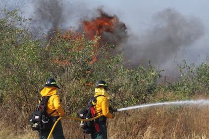 Los bomberos combaten un incendio forestal en el departamento de Santa Cruz.