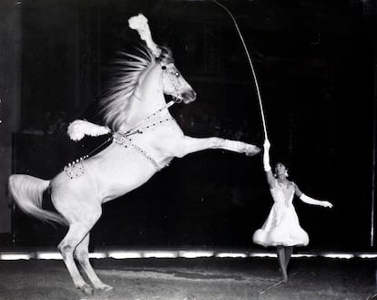 La complicidad entre Paulina Schumann y los caballos es ya una leyenda del circo.