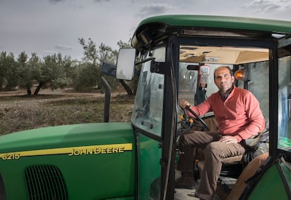 El agricultor Miguel Ángel Ramiro en su olivar de Jaén.
