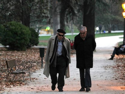 Dos hombres en el Parque del Retiro en Madrid