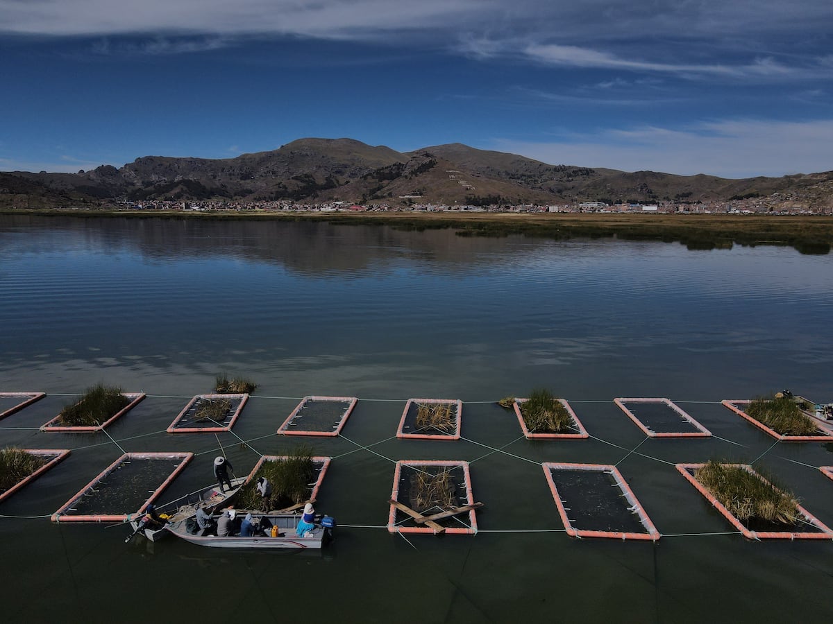 Los filtros verdes podrían ser la clave para la recuperación del lago Titicaca