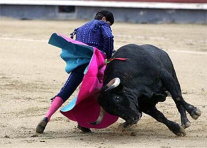 Luis Francisco Esplá recibe de capote a su primer toro, <i>Madroñito,</i> que fue devuelto.