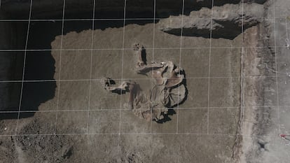 Vista aérea de un esqueleto de mamut en la base militar.